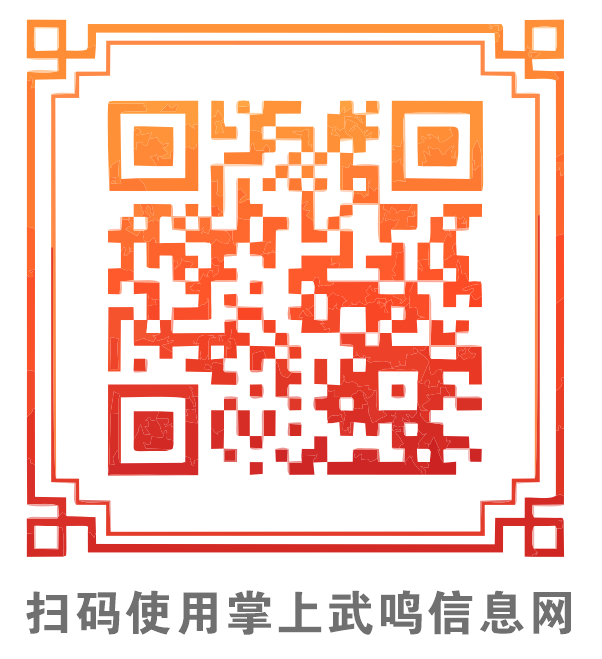 信息网